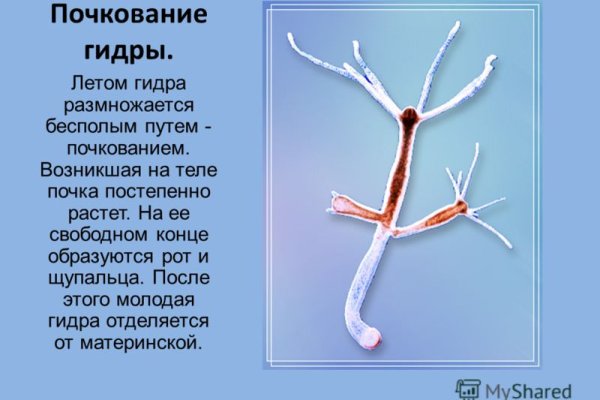 Что такое кракен наркотик