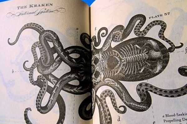 Сайт кракен kraken krakens15 at