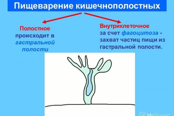 Как найти официальный сайт кракен